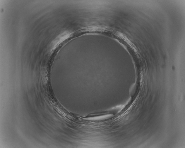 X0000086881213200704231054