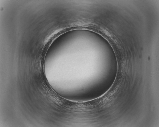 X0000086881214200704231054