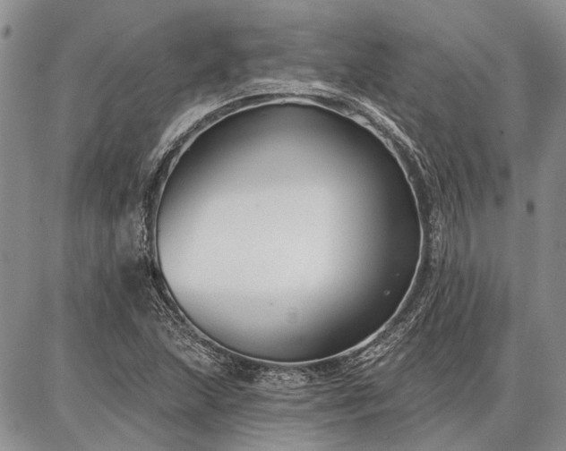 X0000086881215200704231054