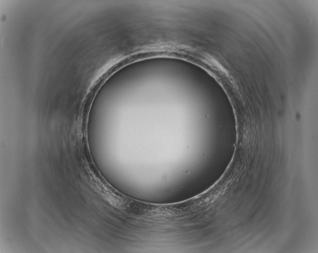 X0000086881216200704231054