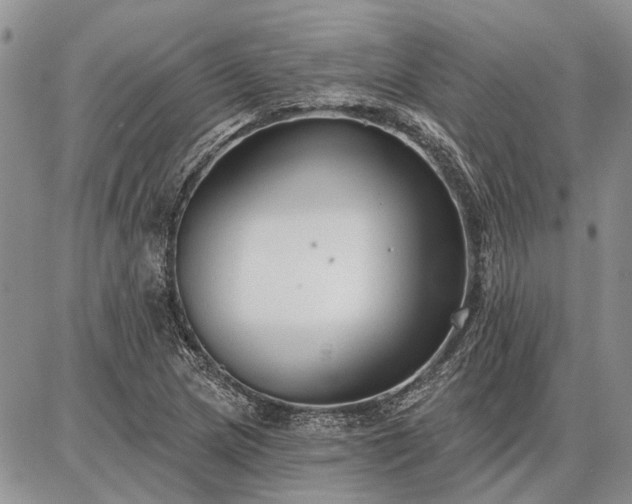 X0000086881217200704231054