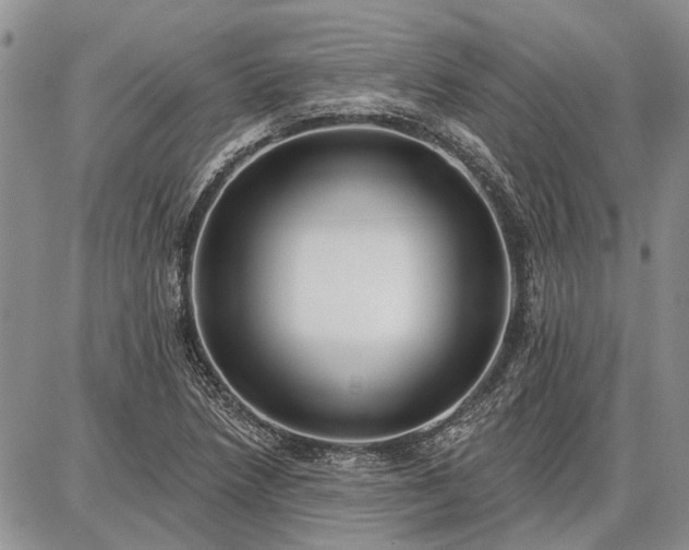 X0000086881218200704231054