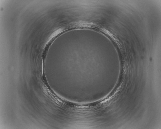 X0000086881219200704231054