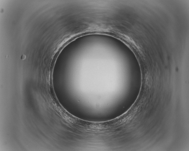 X0000086881220200704231054