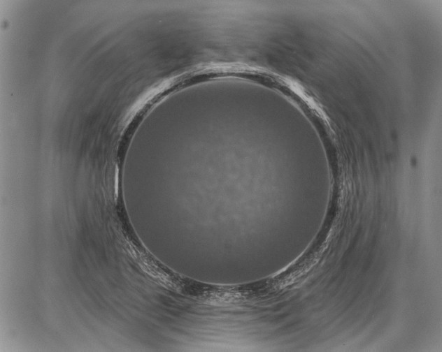 X0000086881221200704231054