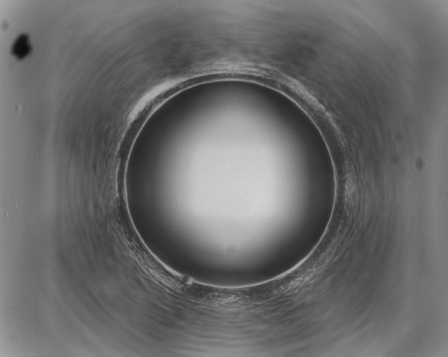 X0000086881222200704231054