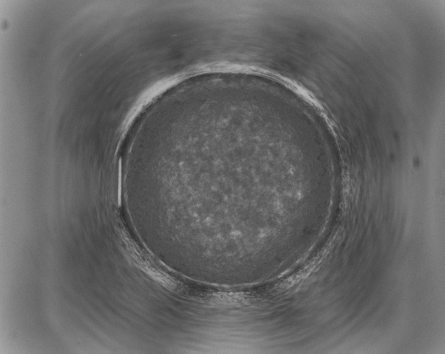 X0000086881223200704231054