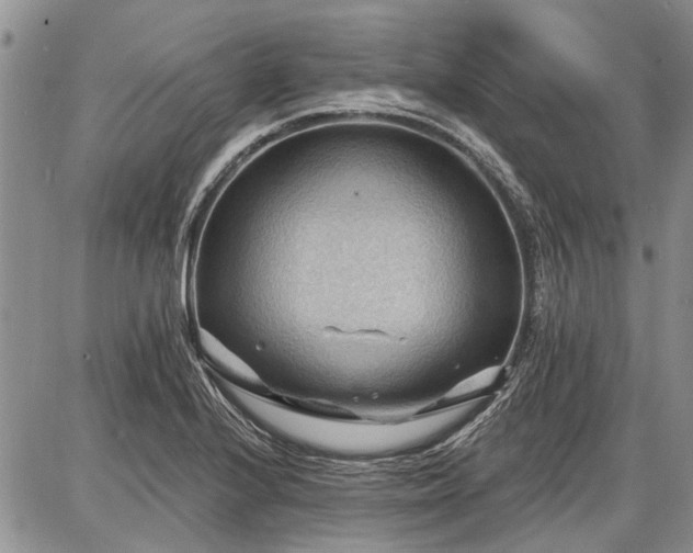 X0000086881224200704231054