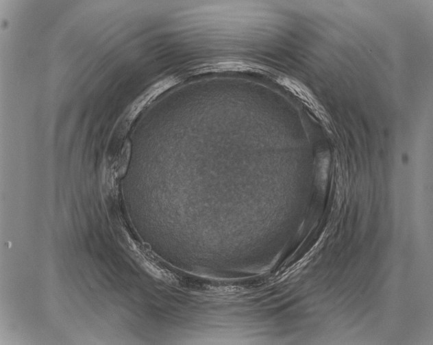 X0000086881225200704231054