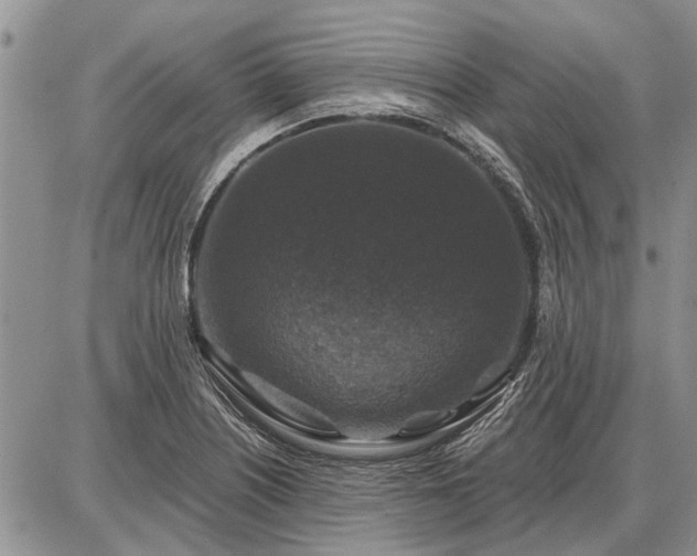 X0000086881226200704231054