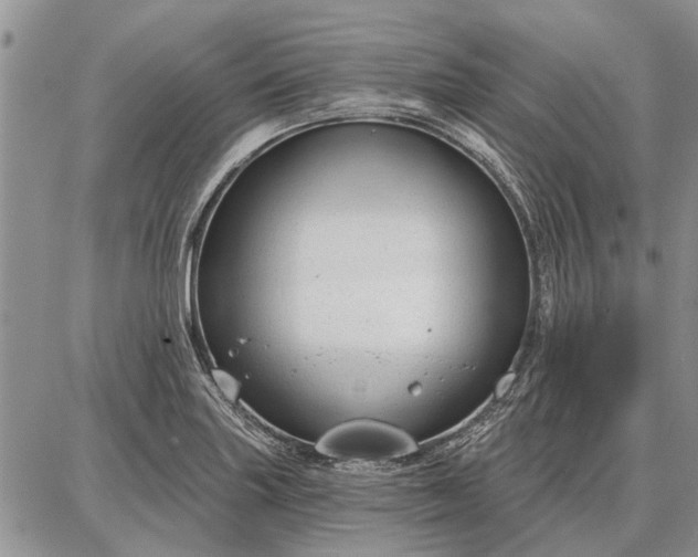 X0000086881227200704231055