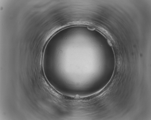 X0000086881228200704231055