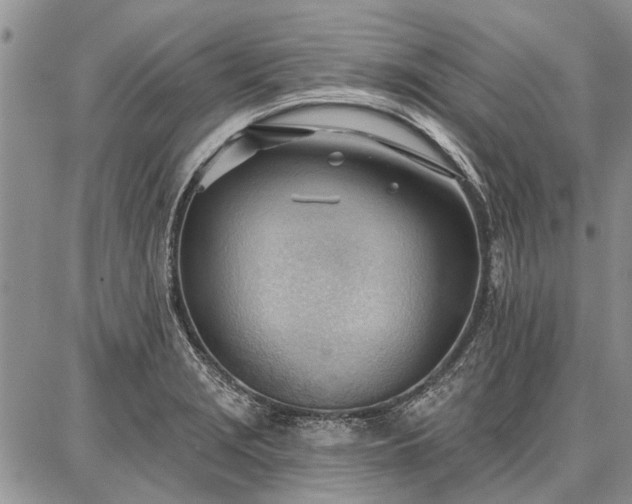 X0000086881229200704231055