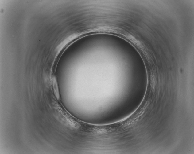 X0000086881230200704231055