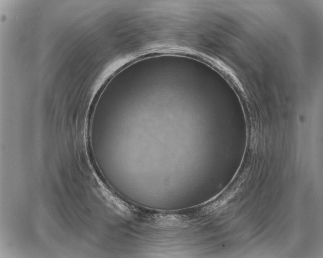 X0000086881231200704231055