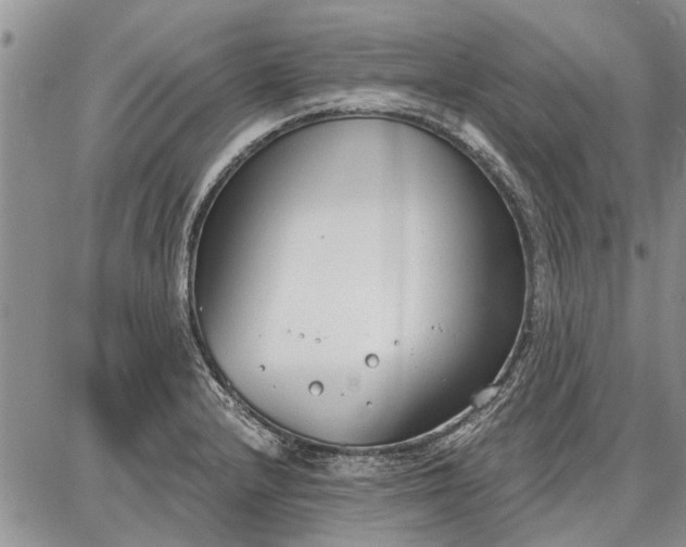 X0000086881232200704231055