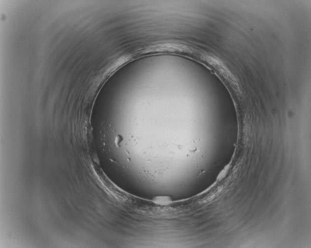 X0000086881233200704231055