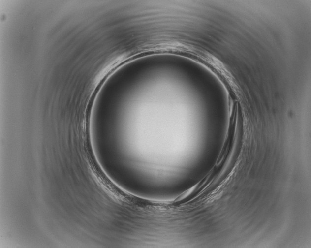 X0000086881234200704231055