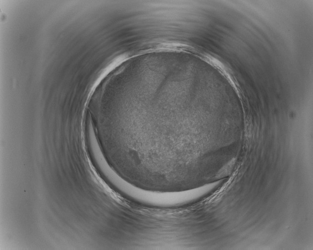 X0000086881235200704231055