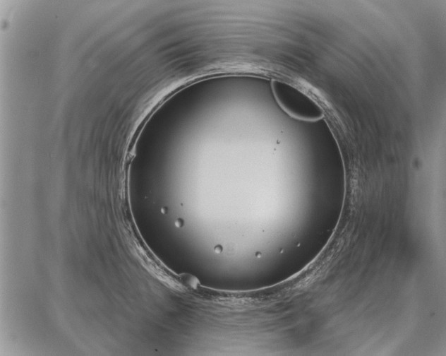 X0000086881236200704231055