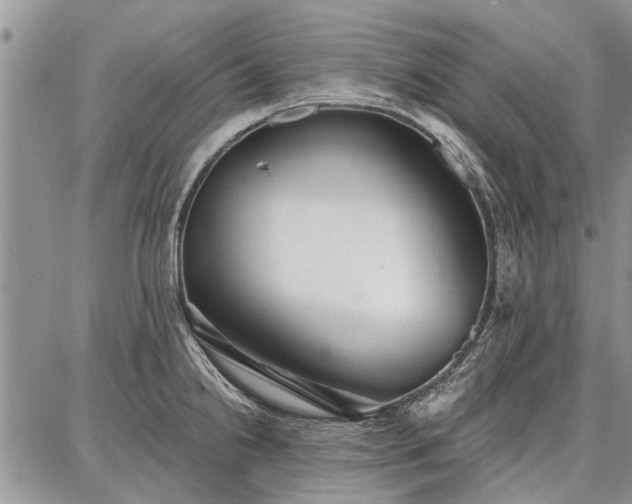 X0000086881238200704231055