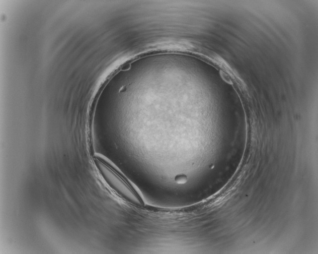 X0000086881240200704231055