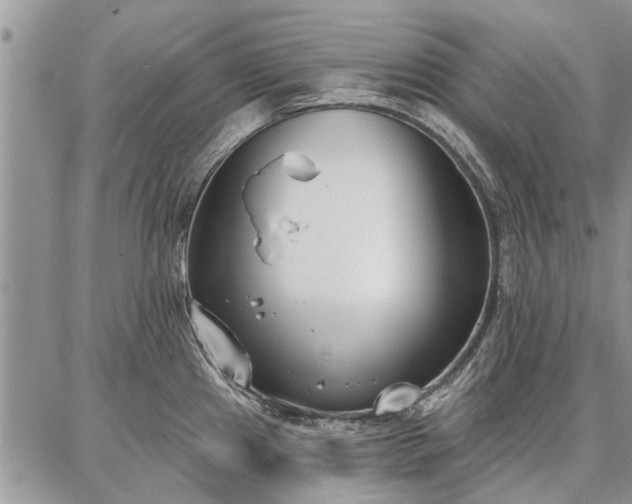 X0000086881241200704231055