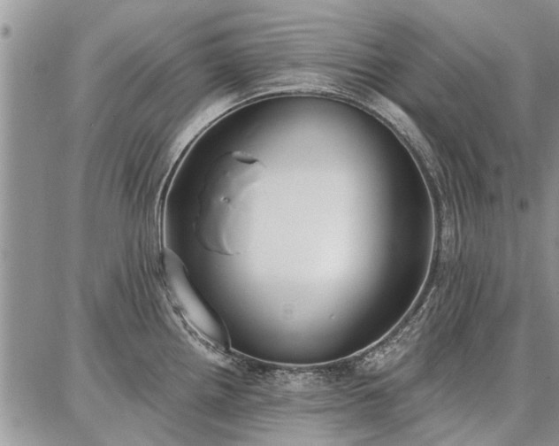 X0000086881242200704231055