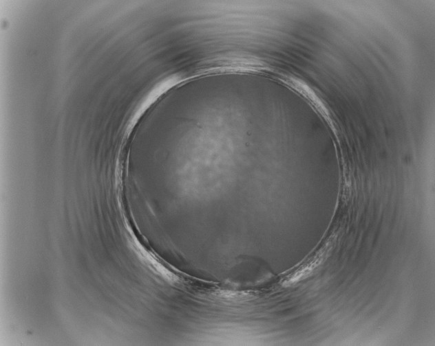 X0000086881243200704231055