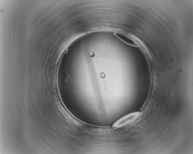 X0000086881244200704231055