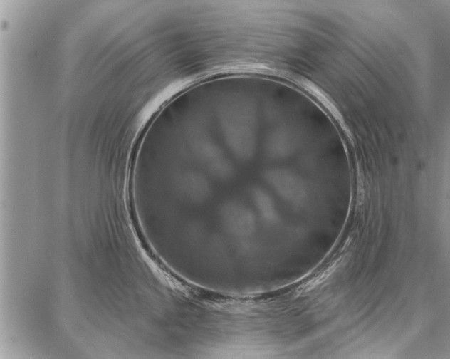 X0000086881245200704231055