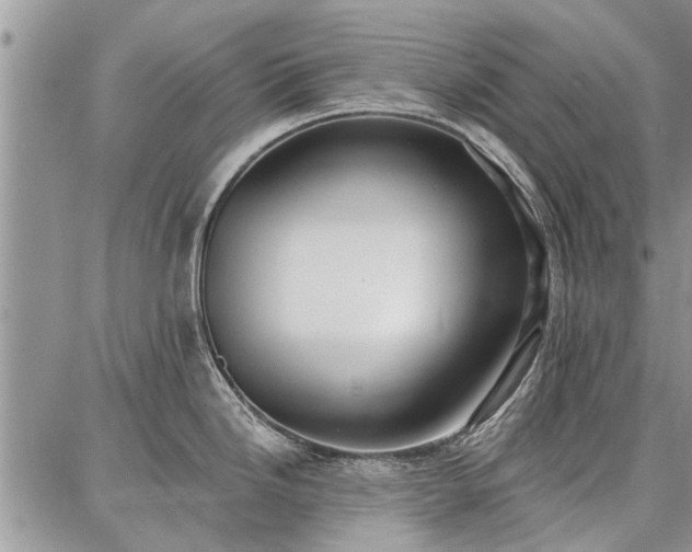 X0000086881246200704231055