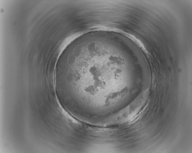 X0000086881247200704231055