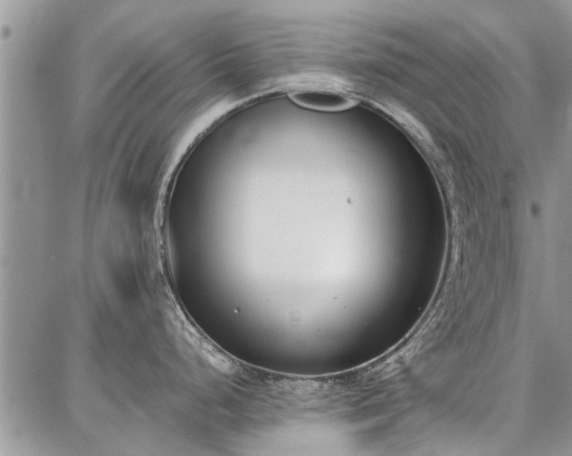 X0000086881248200704231055