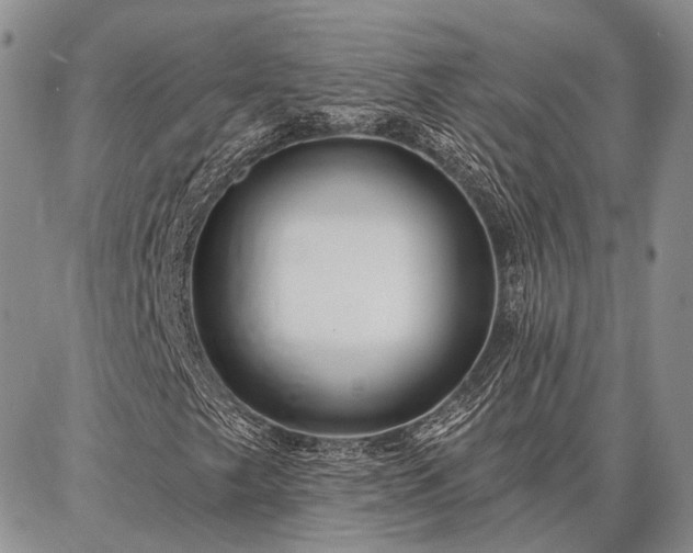 X0000086881249200704231054