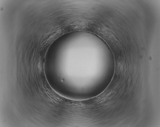 X0000086881250200704231054