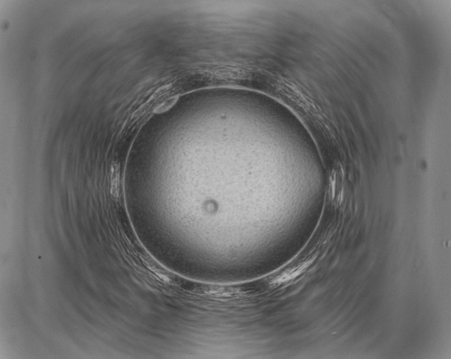 X0000086881251200704231054