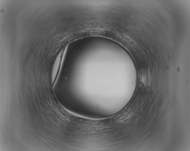 X0000086881252200704231054