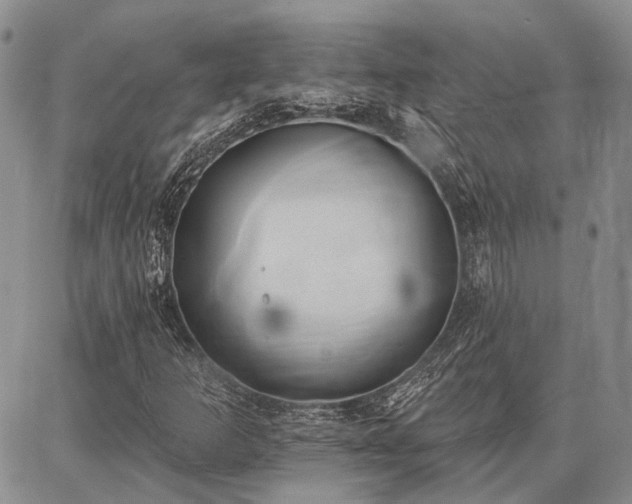 X0000086881253200704231054