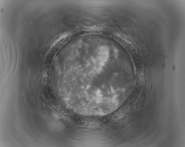 X0000086881254200704231054