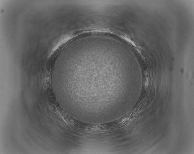 X0000086881255200704231054