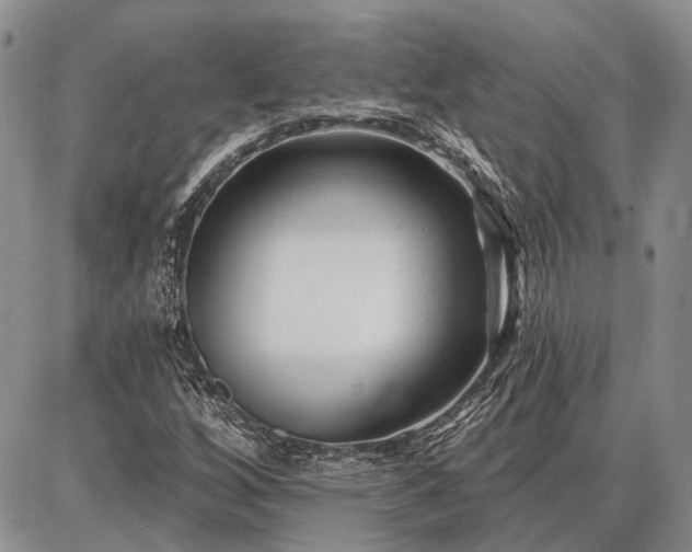 X0000086881256200704231054