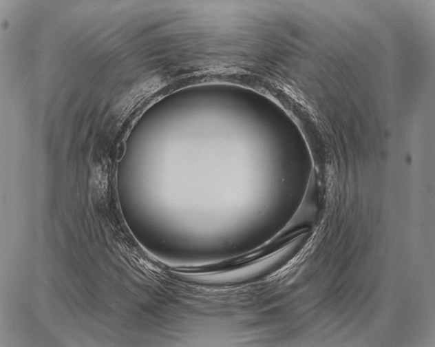 X0000086881257200704231054