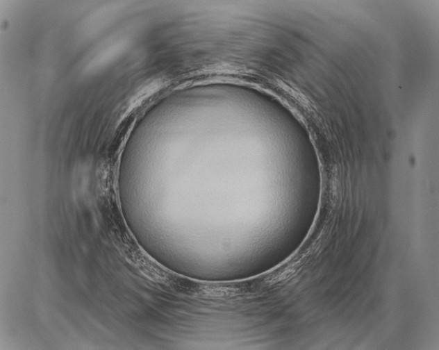 X0000086881258200704231054