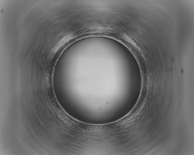 X0000086881259200704231054