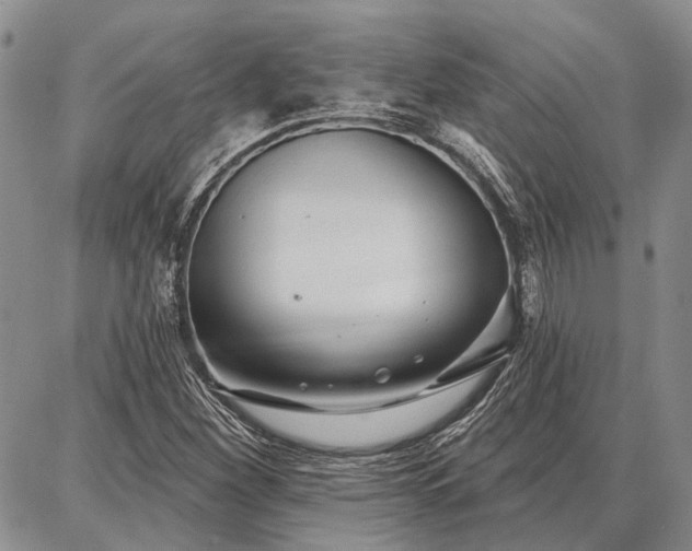 X0000086881260200704231054