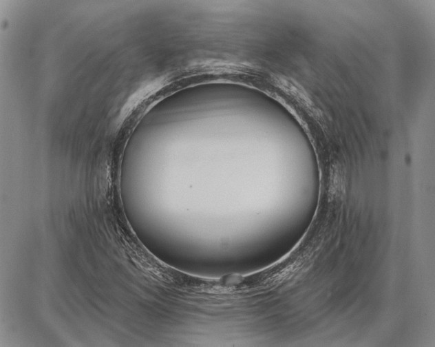 X0000086881261200704231054