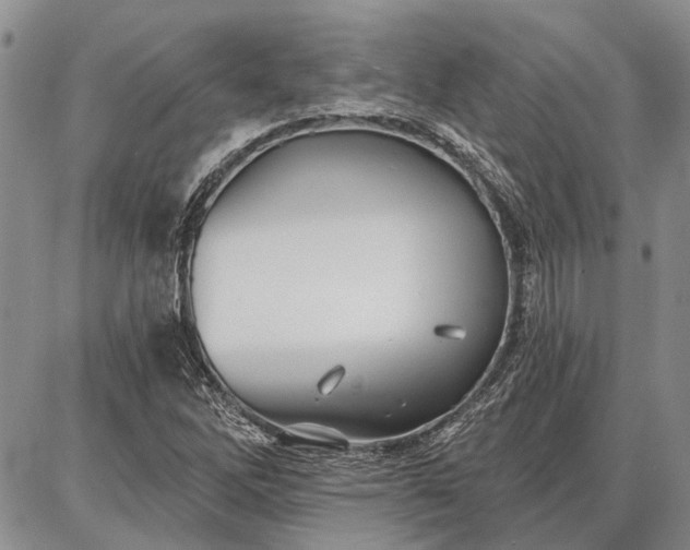 X0000086881262200704231054