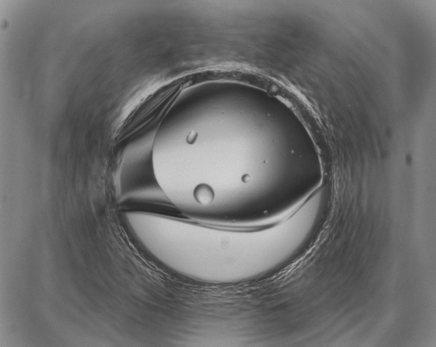 X0000086881263200704231054