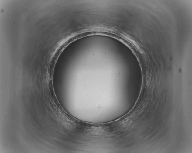 X0000086881264200704231054